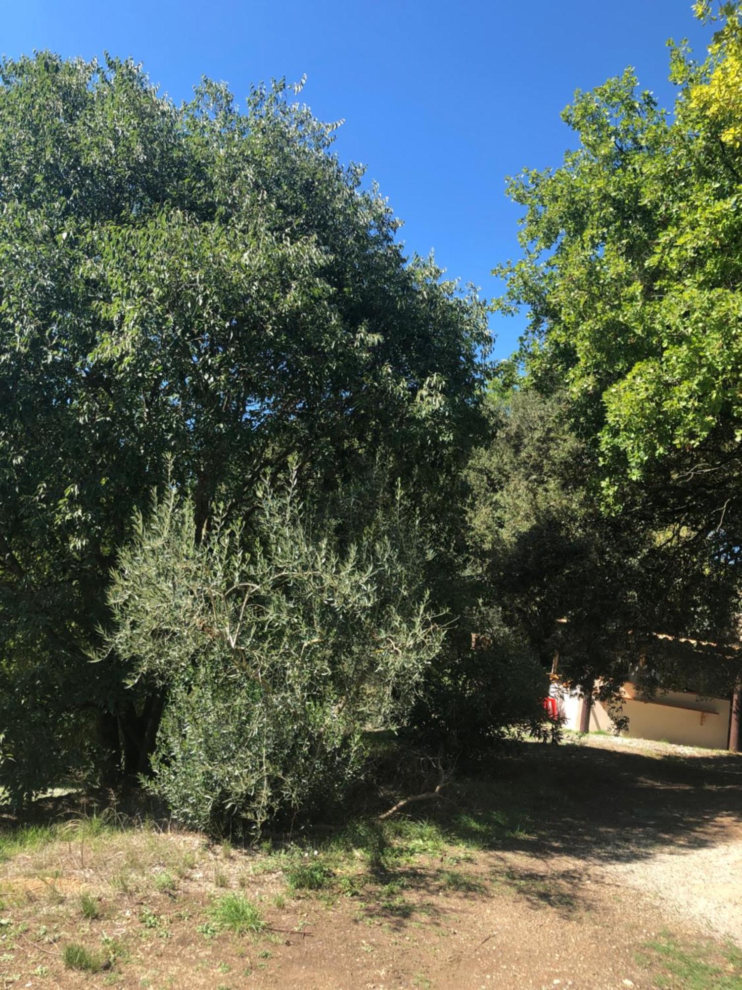 L'Olivier Fleurie Barjols Villa Exterior photo